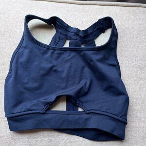 Blue Alphalete Sports Bra (S)